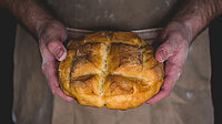 Brot vom Himmel hast du ihnen gegeben