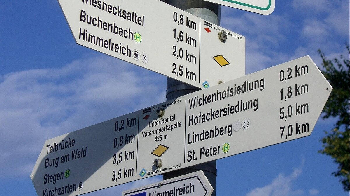 Bereitet dem Herrn den Weg!