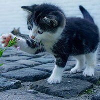 Der Lohn der Liebe ist die Liebe selbst