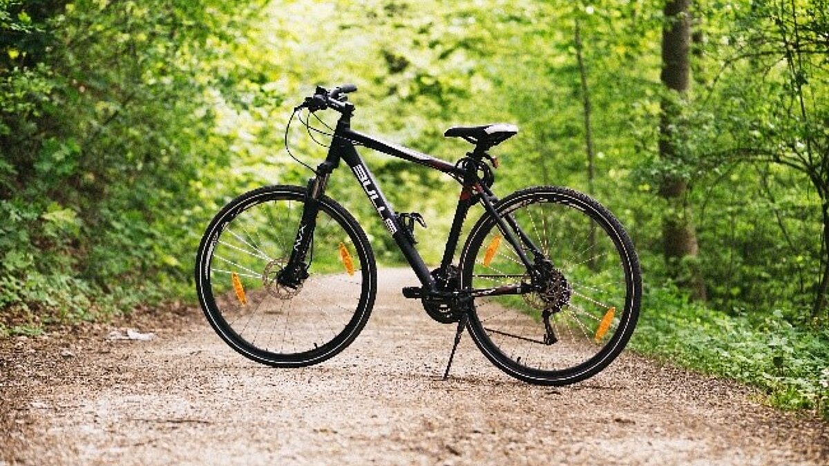 Wallfahrt nach Marienthal mit dem E-Bike