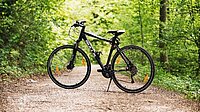 Wallfahrt nach Marienthal mit dem E-Bike