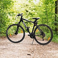 Wallfahrt nach Marienthal mit dem E-Bike