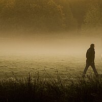 Alles auf eine Karte zu setzen, alles Bisherige hinter sich lassen