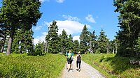 Ökumenische Sommerandachten 2025