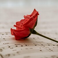 Die Liebe schafft sich ihre eigene Sprache