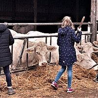 Kühe, Korn und coole Kids